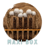 Maxi-Box - Cappuccino