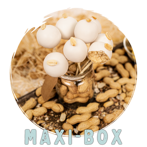 Maxi-Box - Erdnuss